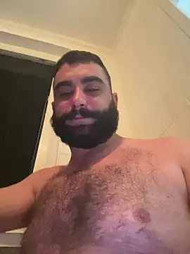 Bear-Dadd webcam