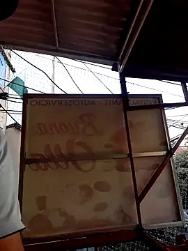 public459 webcam