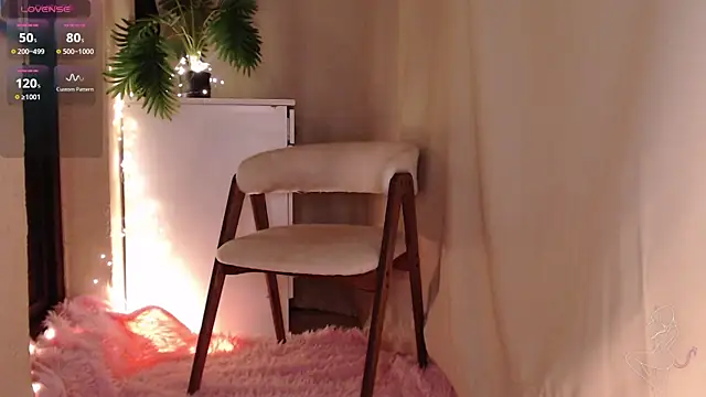 Zeeeme webcam