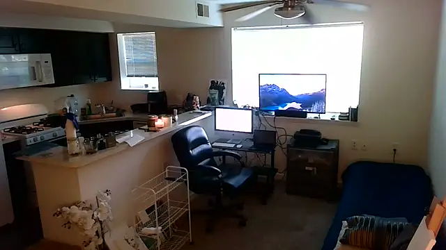 Q1357q webcam