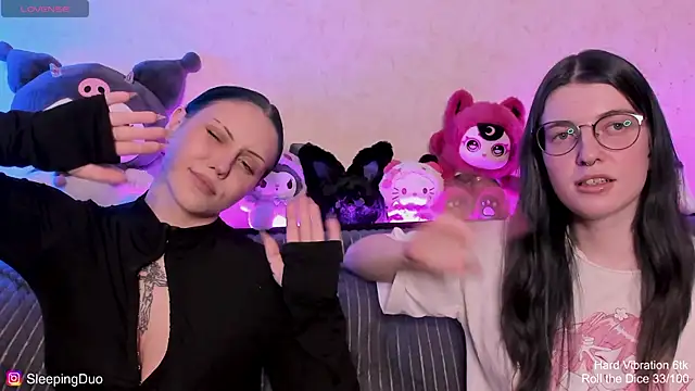 SleepingDuo webcam