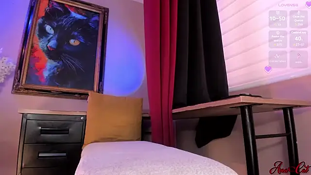 ana_cat webcam