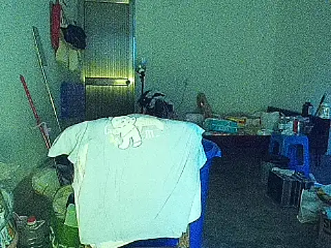 RebelAura webcam