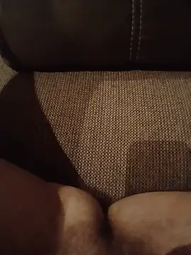 Lul18809 webcam