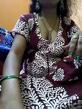 jasss-12x webcam