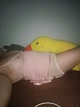 Ngocha_tt webcam