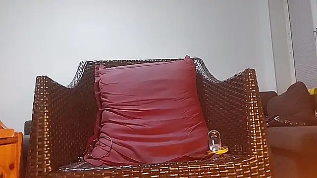 Tyyson03 webcam