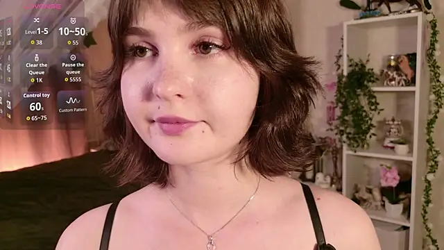 LeraKit webcam