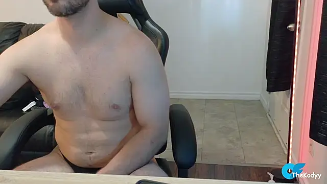 Thekodyy webcam