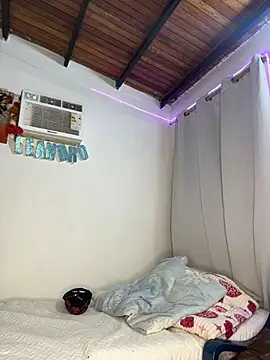 PrincesLeo webcam