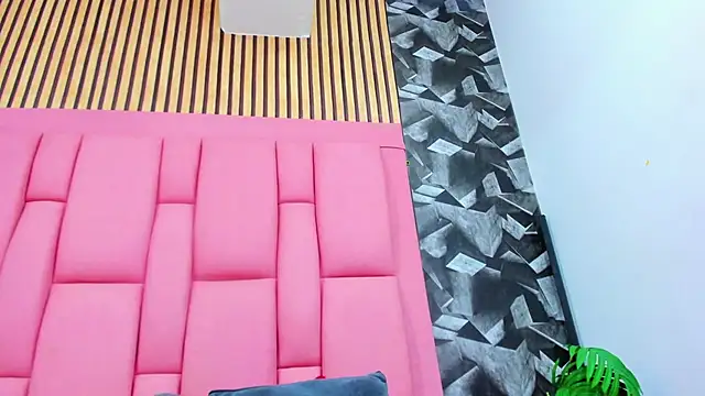 Brithanyslim webcam
