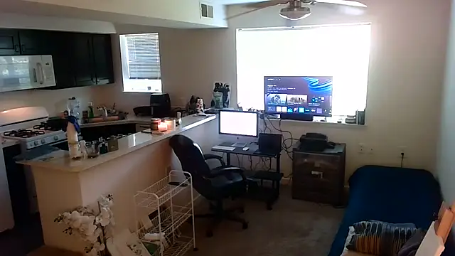 Q1357q webcam