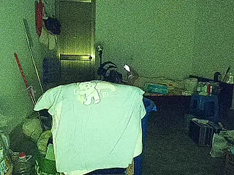 RebelAura webcam