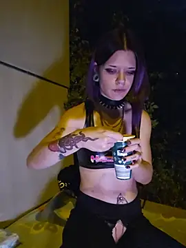 ViGothFox webcam