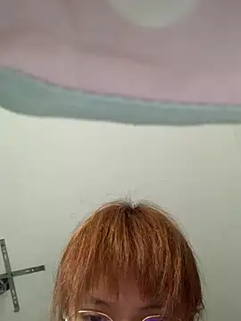 sgdAV webcam