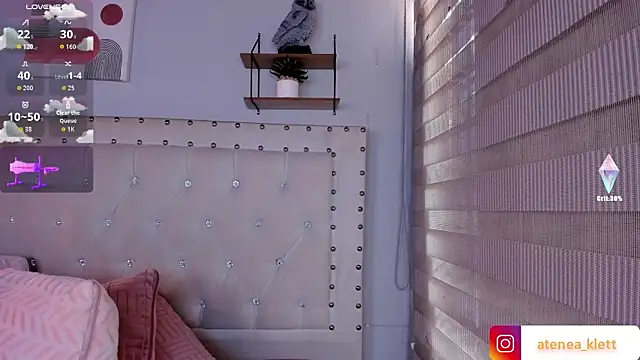 Atenea_Klett_ webcam