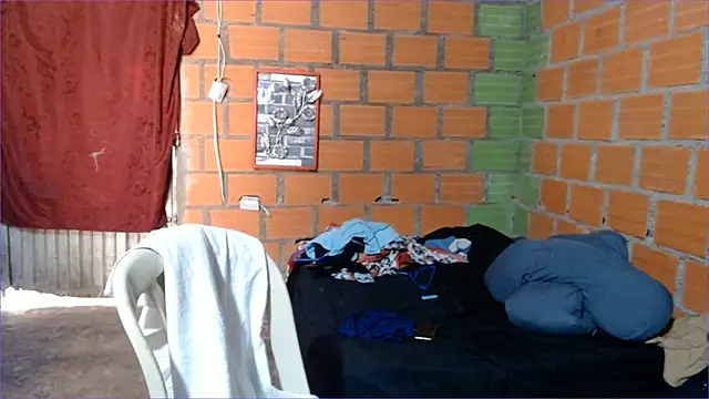 valeriaswang_Lucas webcam