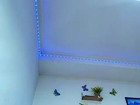 liam_domain webcam