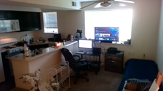 Q1357q webcam