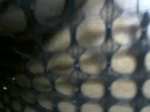 Thosabane webcam