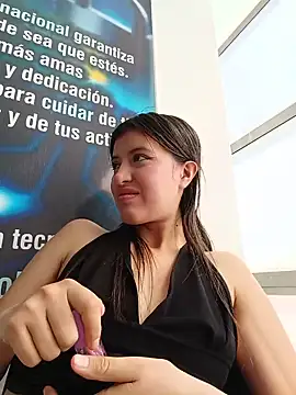 SALOME-28_ webcam