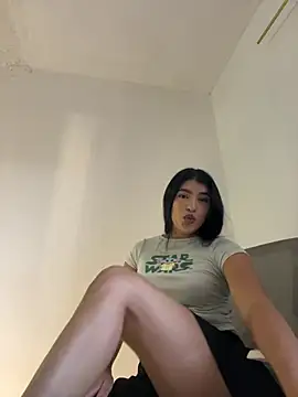 Misty-kat webcam