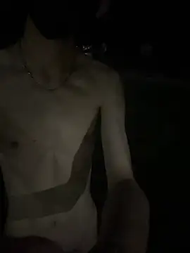 dong_ webcam