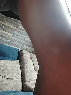 Tiger_cryad webcam