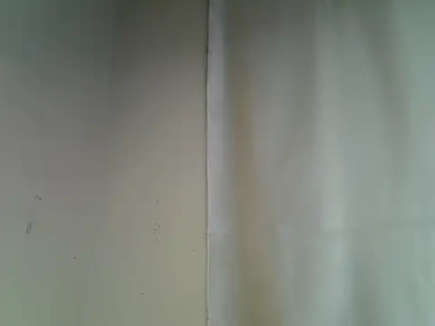 Qute_nimple webcam