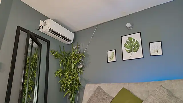 Alan-riios webcam