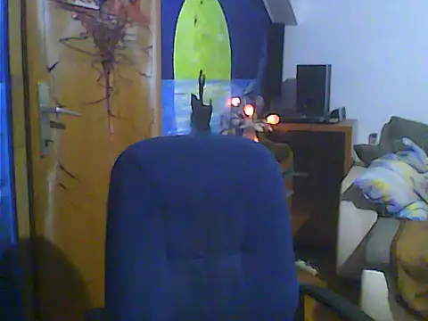 Dejanaceking webcam
