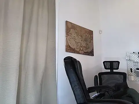 fermaxwell webcam