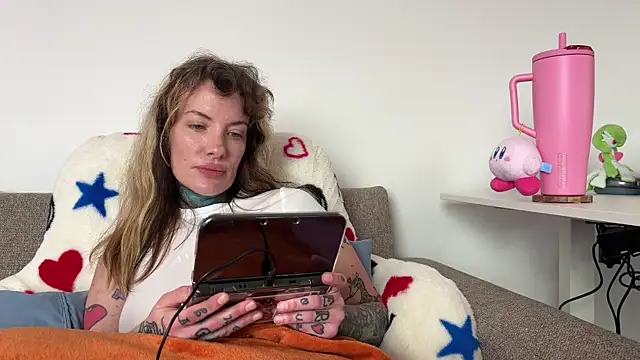 airgeadx webcam