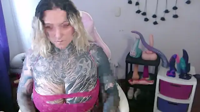 SLOPPYTITSS webcam