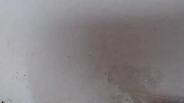 alexam_gal@xh webcam