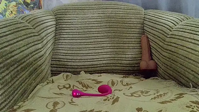 SHARP299 webcam