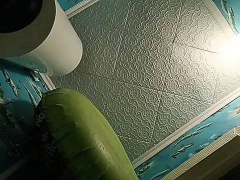 Tina_Mirabella webcam