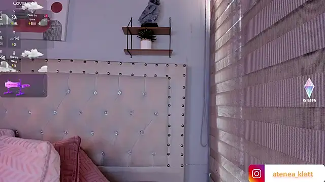 Atenea_Klett_ webcam
