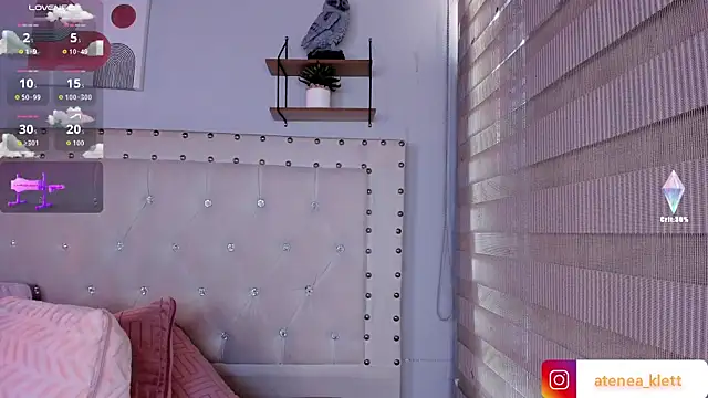 Atenea_Klett_ webcam