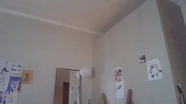 simechasi webcam