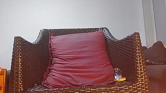 Tyyson03 webcam