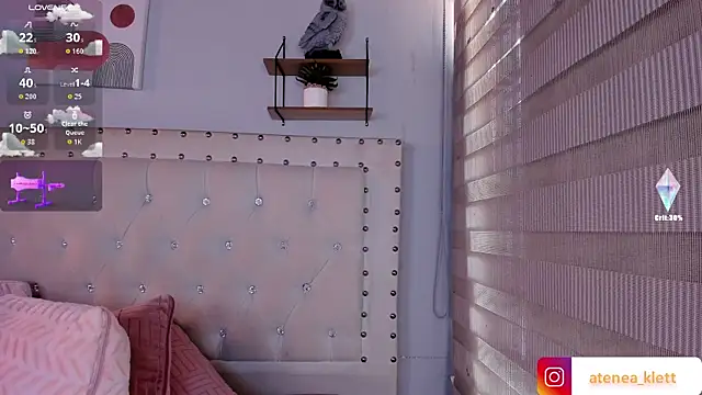 Atenea_Klett_ webcam