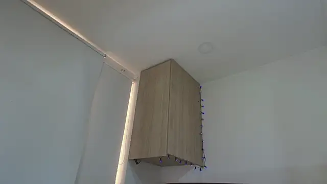 Charlotte11-11 webcam