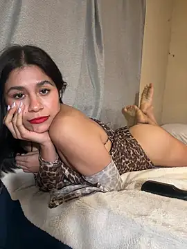 Linaroby webcam