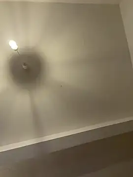 GeilerBull webcam