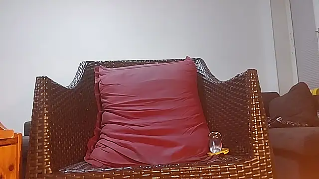 Tyyson03 webcam