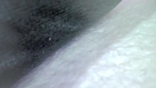 karol_stom webcam