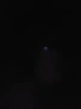 Corref live cam on StripChat