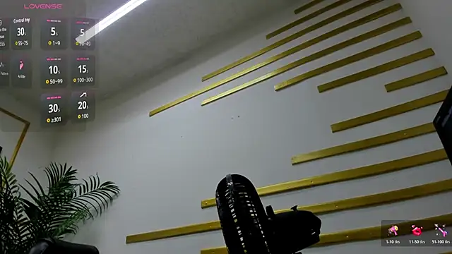 miranda_vegaa webcam
