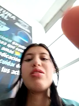 SALOME-28_ webcam